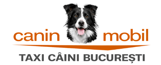 Taxi Caini Bucuresti – Transport caini rapid si sigur
